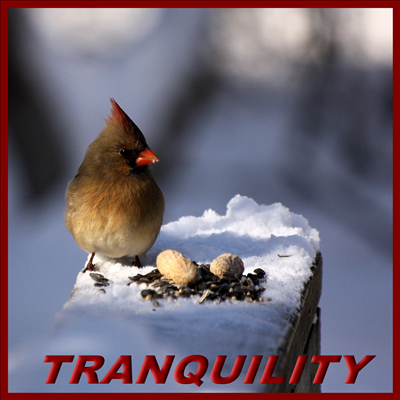 TRANQUILITY