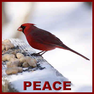 PEACE