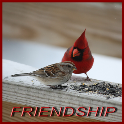 FRIENDSHIP
