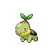 Turtwig Pic