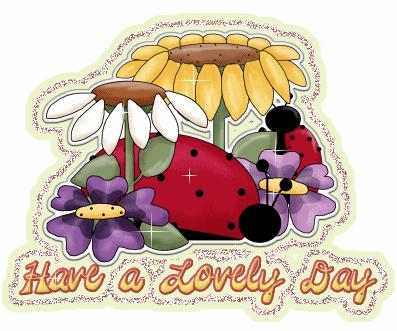 Nice day Coccinelle