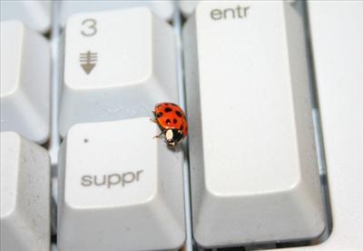 Net Coccinelle