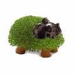Chia Pet