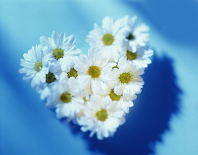 flower love