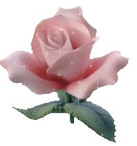 For someone special