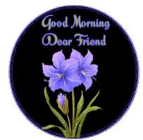 To bring you hapiness and joy