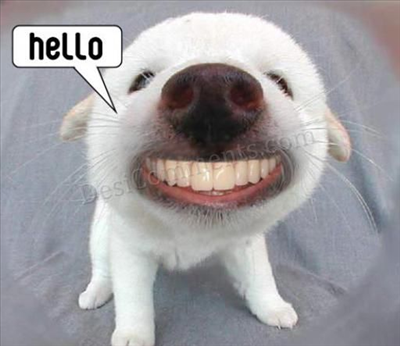 hello