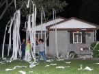 tp