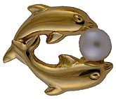 dolphin