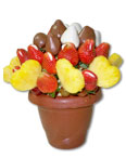 Fresas y Corazones