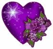 coeur violet
