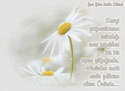 Yeni Yılınız kutlu olsun