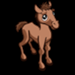 Brown foal