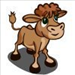 Weird hair calf