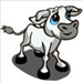 White calf