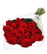 Luxury Red Roses