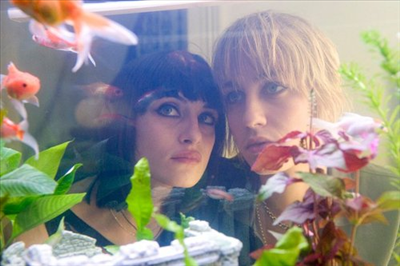 Sadie & Frankie
