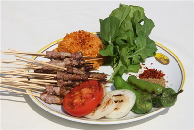Çöp Şiş