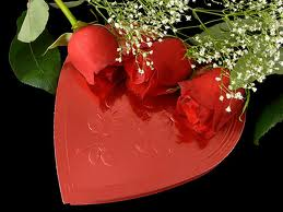 happy Valentine's Day