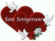 Seni Seviyorum