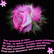 Pembe Gulum