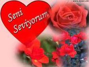 Seni Seviyorum