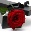 have a beautiful Day