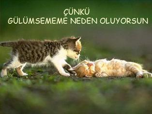  Dostumsun Çünkü