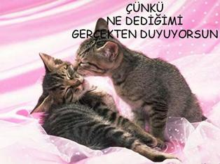  Dostumsun Çünkü