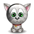 kucing