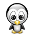 pinguin