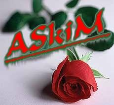 Sen her zαmαn nerede olυrѕαm olαуim, Ne düѕünürѕem düѕünüуüm her αn kαlbimdeѕin, Seni ne kαdαr ѕeνdigimi kelimeler ile αnlαtαmαm, Amα ѕυnυ bil SENI SEVIYORUM !!!!