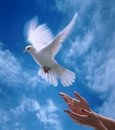 Vazgeçilmeyen… Hep Uzaktadır…Bazen Çok Özlersin Onu…Birilerine Anlatmaya Kalkarsın, Anlayamazlar… Çok insan Çıkar Karşına.. Kalbine Girmek İster Ama ; Sen İzin Vermezsin… Çevren Ne Kadar Kalabalık Olsada, Sen Onu Özler, Onu İster, Yalnız Kalırsın… Yavas Yavas Kabullenir, Onsuzda Yaşamaya Alısırsın Ama ; Asla VAZGEÇEMEZSİN.