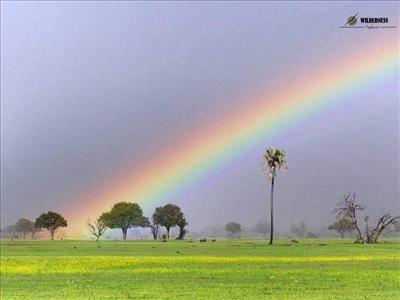 Arcoiris Africano