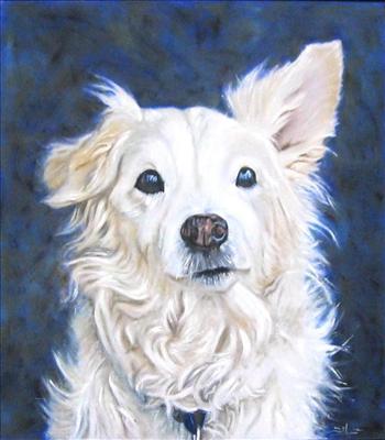 Portriat of a White Dog
