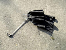 Broken Umbrella