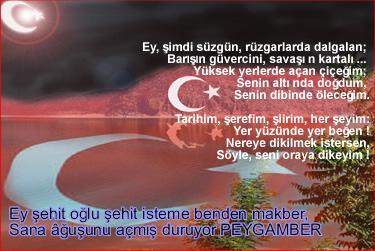 Bayrak...