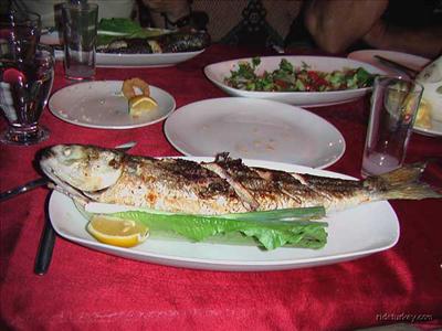 Rakı Balık