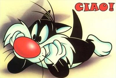 Gatto!