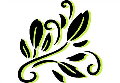 flower of beauty