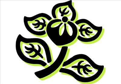 flower of wealth