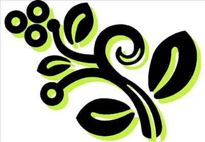 flower of friendship