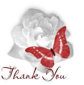 butterflythank
