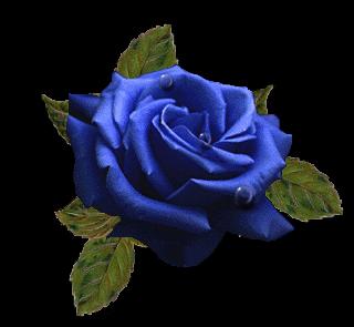bLue Rose