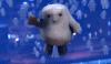 Adipose