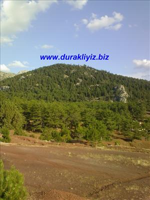 DuRaK ( tekke )