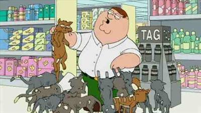 freaky cats