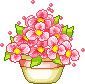 Pink flowers