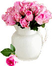 Pink rose