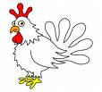 chicken